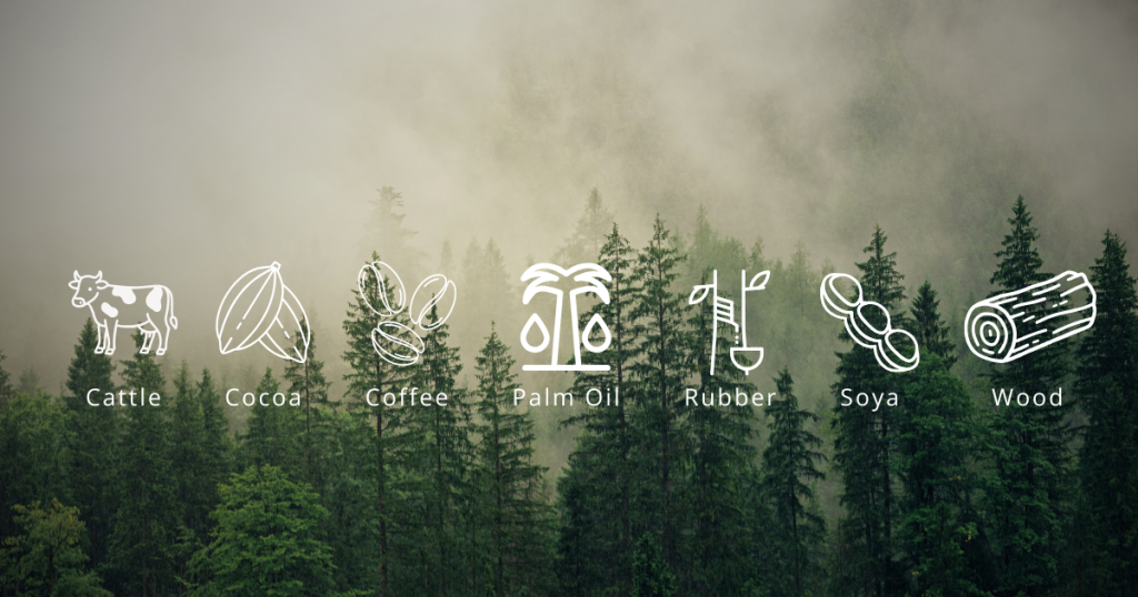 7 Categories Face Ban Without EUDR Compliance